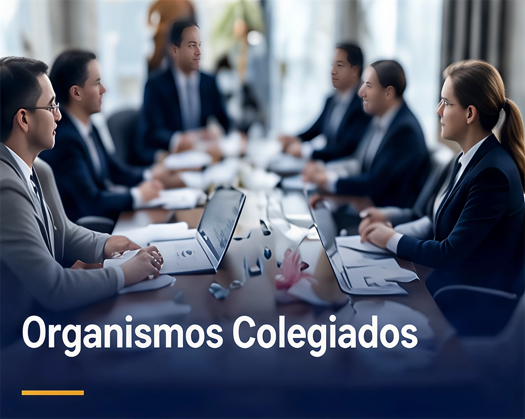 Organismos Colegiados
