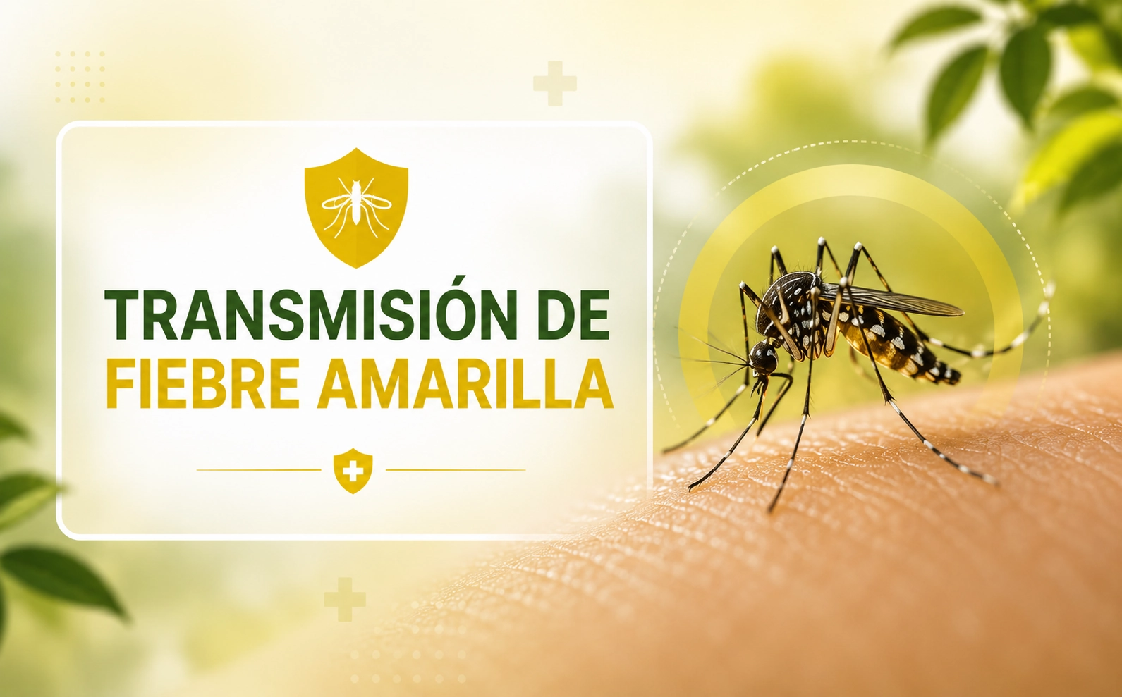 Ver más