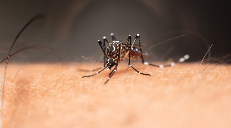 Casos de dengue reportan un aumento del 42% durante la semana epidemiológica siete en comparación al año 2022 Casos de dengue reportan un aumento del 42% durante la semana epidemiológica siete en comparación al año 2022