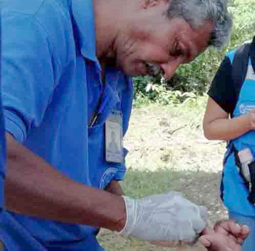 Costa Rica destaca a nivel internacional por su lucha contra la malaria&nbsp;