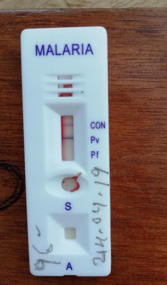 img dia internac malaria 02