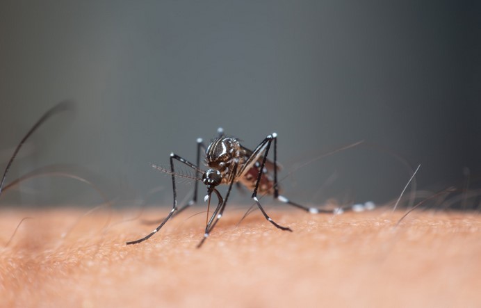 Ministerio de Salud, ICT y sector turístico invitan a mantener el dengue a raya en estas vacaciones