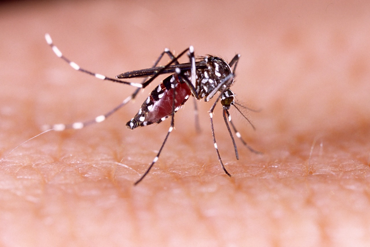 Salud confirma dos casos nuevos de dengue tipo 4 o DENV-4