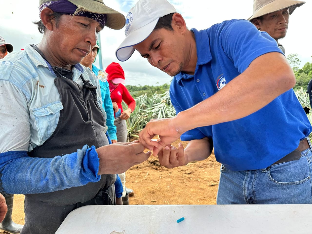 Región Huetar Norte de Costa Rica recibe el premio Campeones de la Malaria 2024 otorgado por la OPS