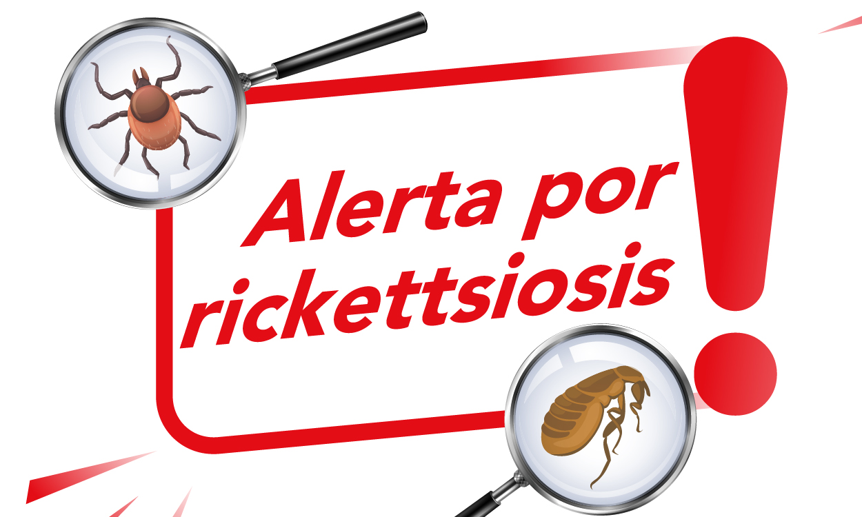 Ministerio de Salud confirma fallecimiento de tres personas por rickettsiosis Ministerio de Salud confirma fallecimiento de tres personas por rickettsiosis