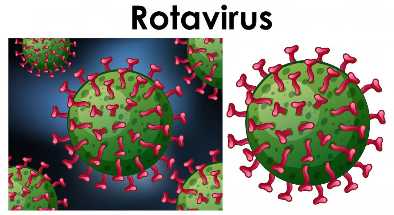 Salud recuerda la importancia del esquema de vacunación contra el rotavirus