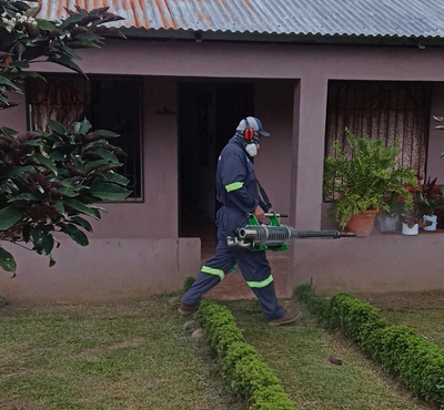  Salud continua trabajos en Sarapiquí y Río Cuarto ante casos de dengue