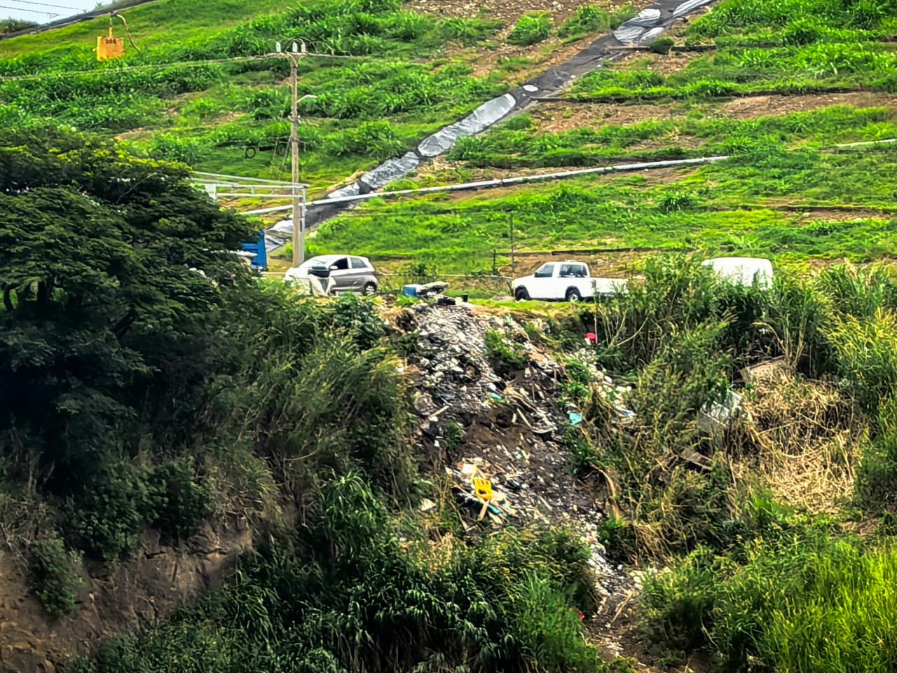 Promesas incumplidas agravan la contaminación en Pavas Promesas incumplidas agravan la contaminación en Pavas