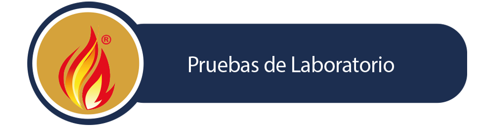 Pruebas de Laboratorio Pruebas de Laboratorio