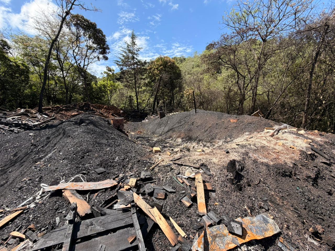 Salud interviene carbonera ilegal en Desamparados